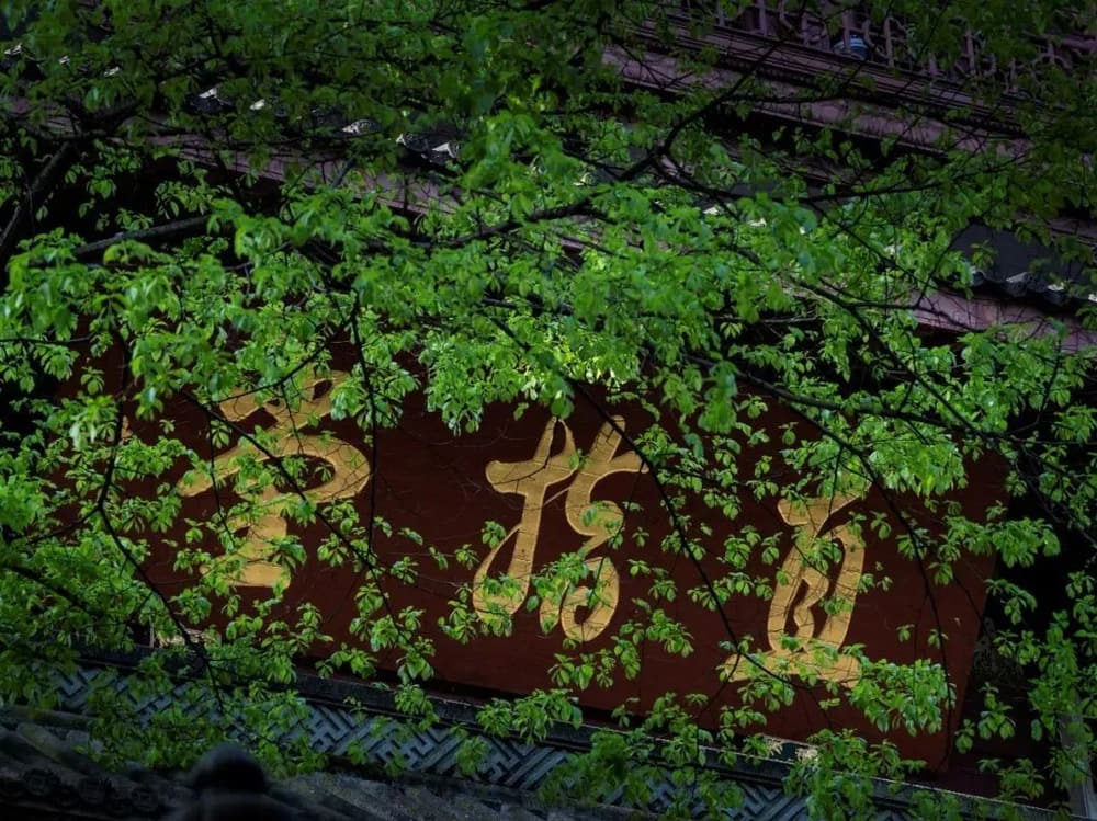 欲度眾生，當除其煩惱