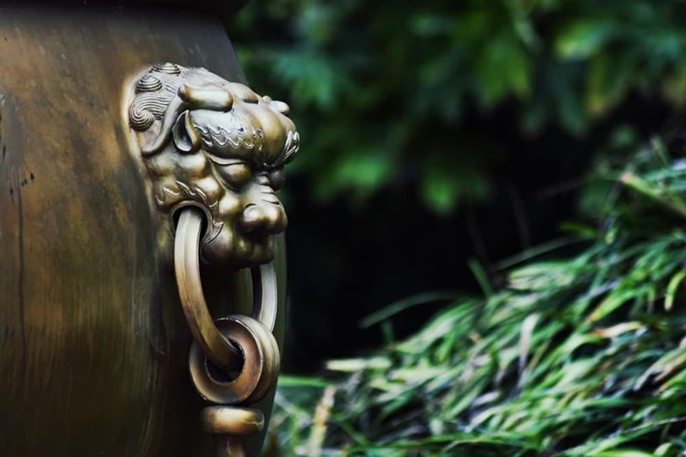 聽完這兩頭驢的故事，你就不會再抱怨牢騷了