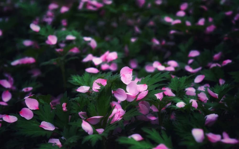 對於世間的財物，應當念念捨離