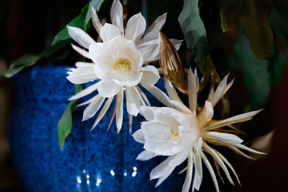 懺悔的三種方法