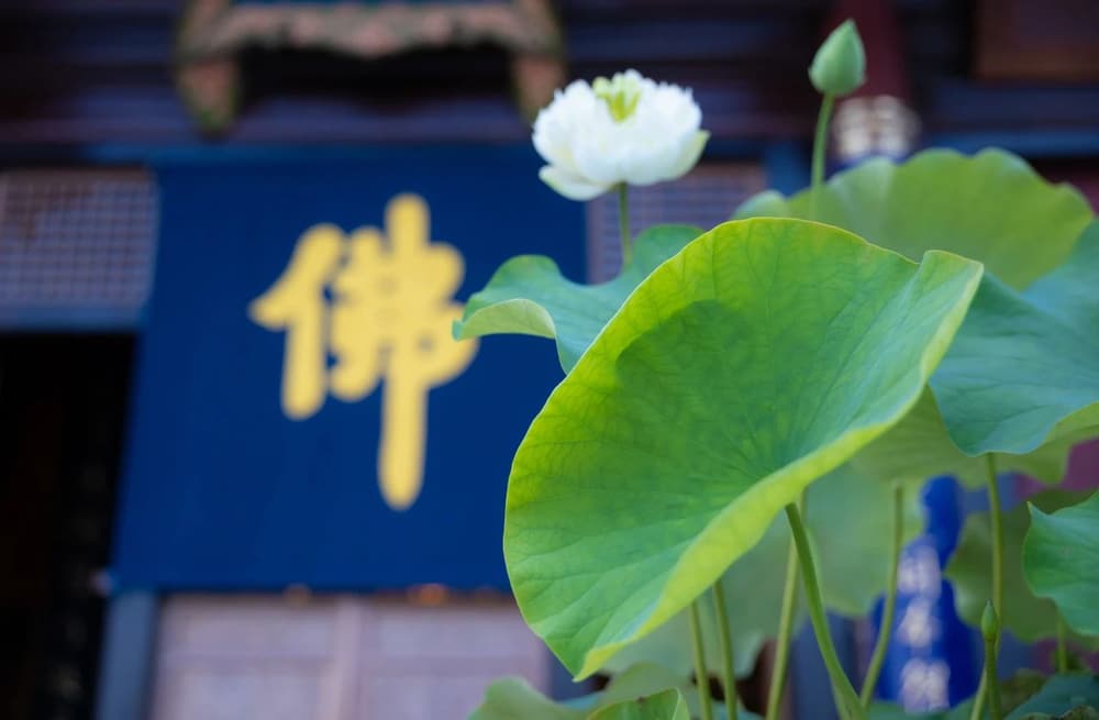 出家後有三個時期