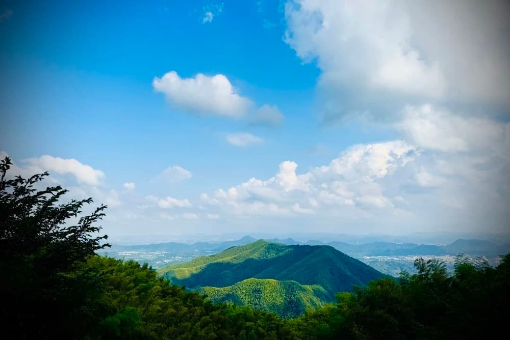 修禪而又願生阿彌陀佛國，這個是最圓滿的
