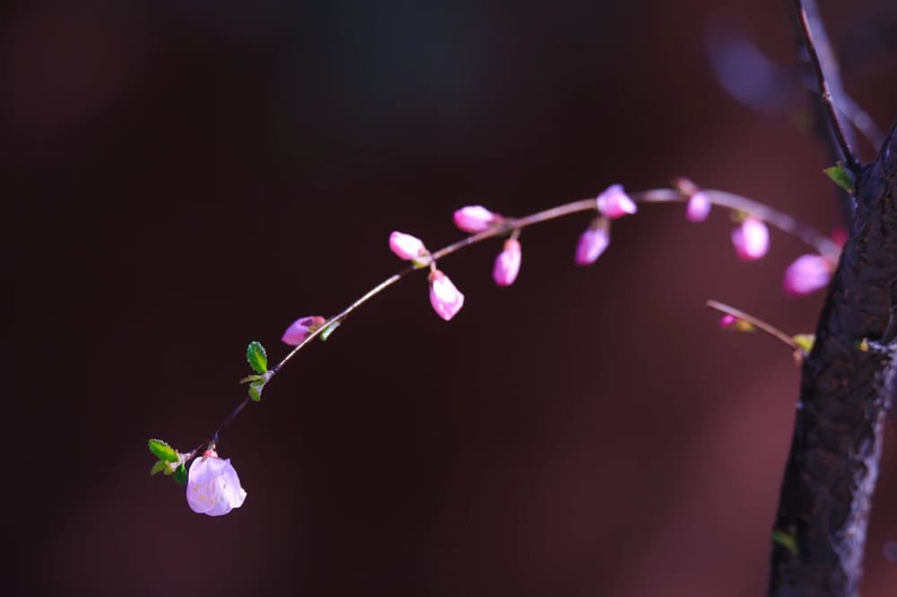 修行有這「三關」要過