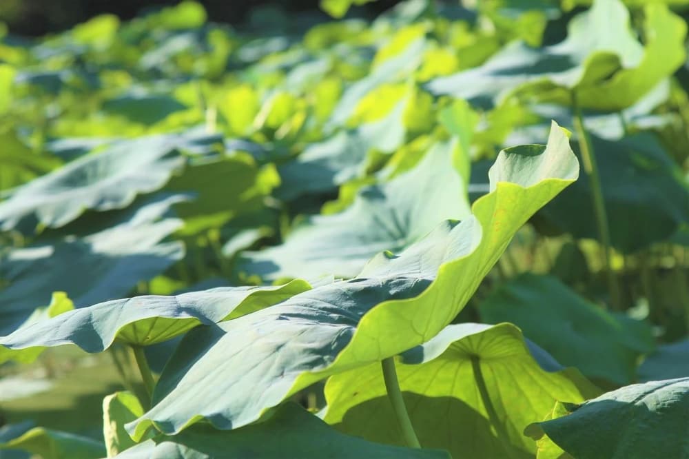 先改變妄想，再改變執著，再改變業力