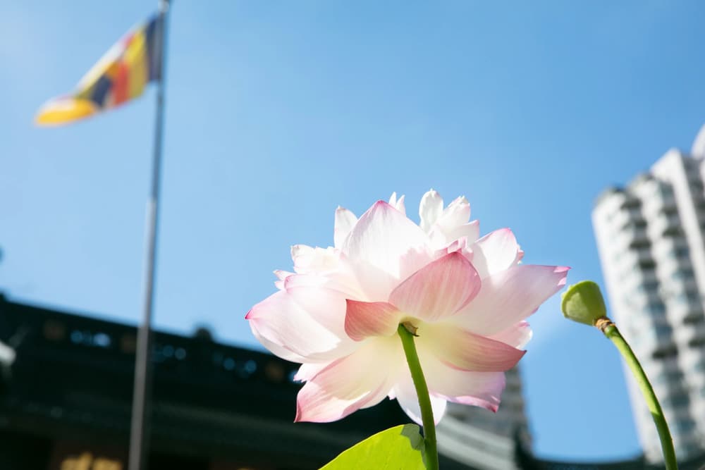 「閑處靜室」是非常重要的