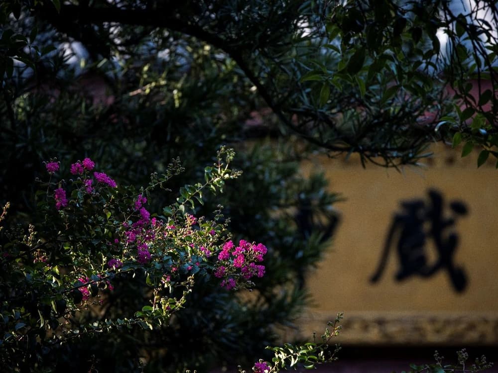 有四種的力量會影響我們的作意