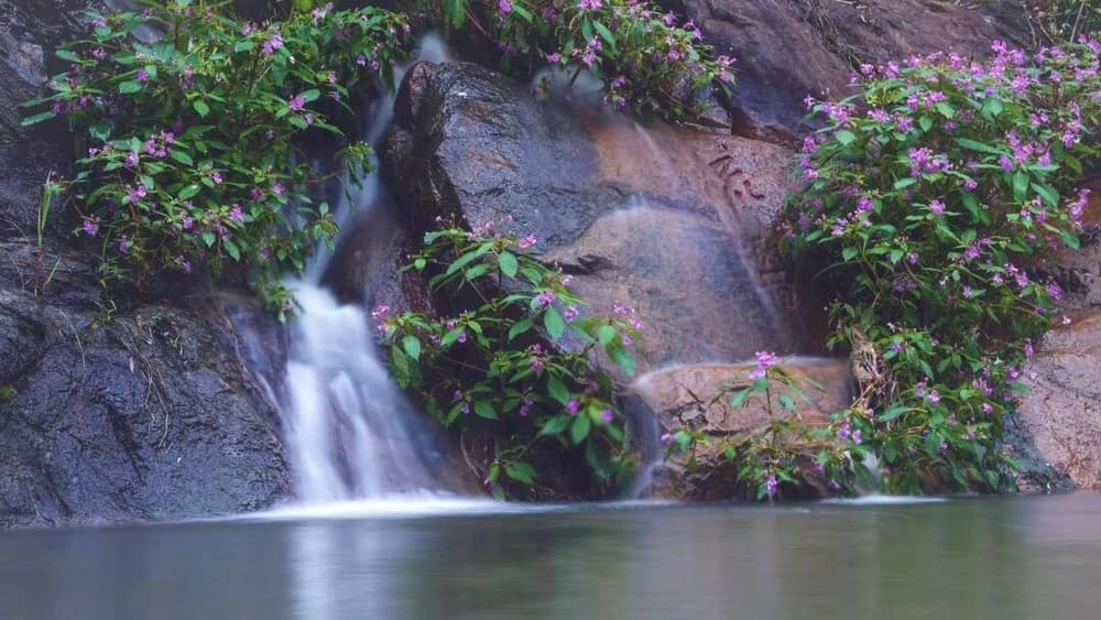 以十種供養來修福德