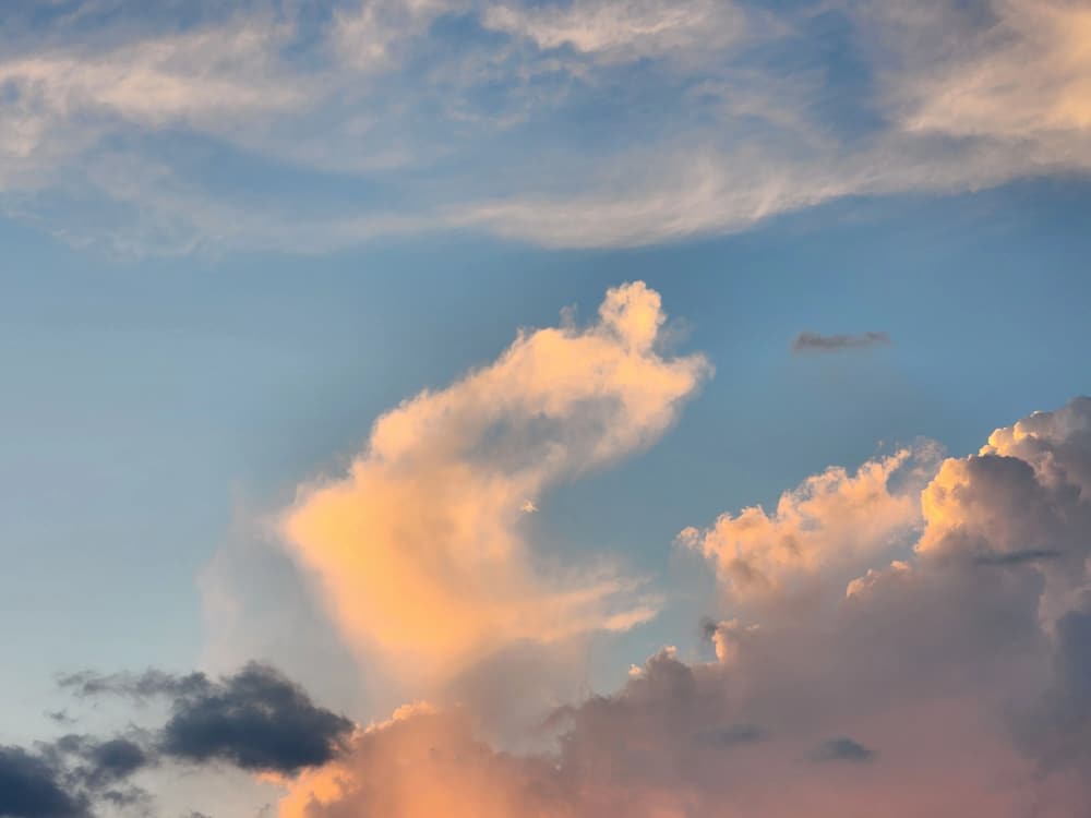 印光大師：迷妄與魔心