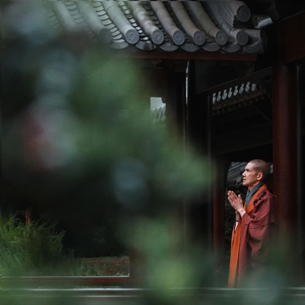 修無我觀，就能達到大自在的境界