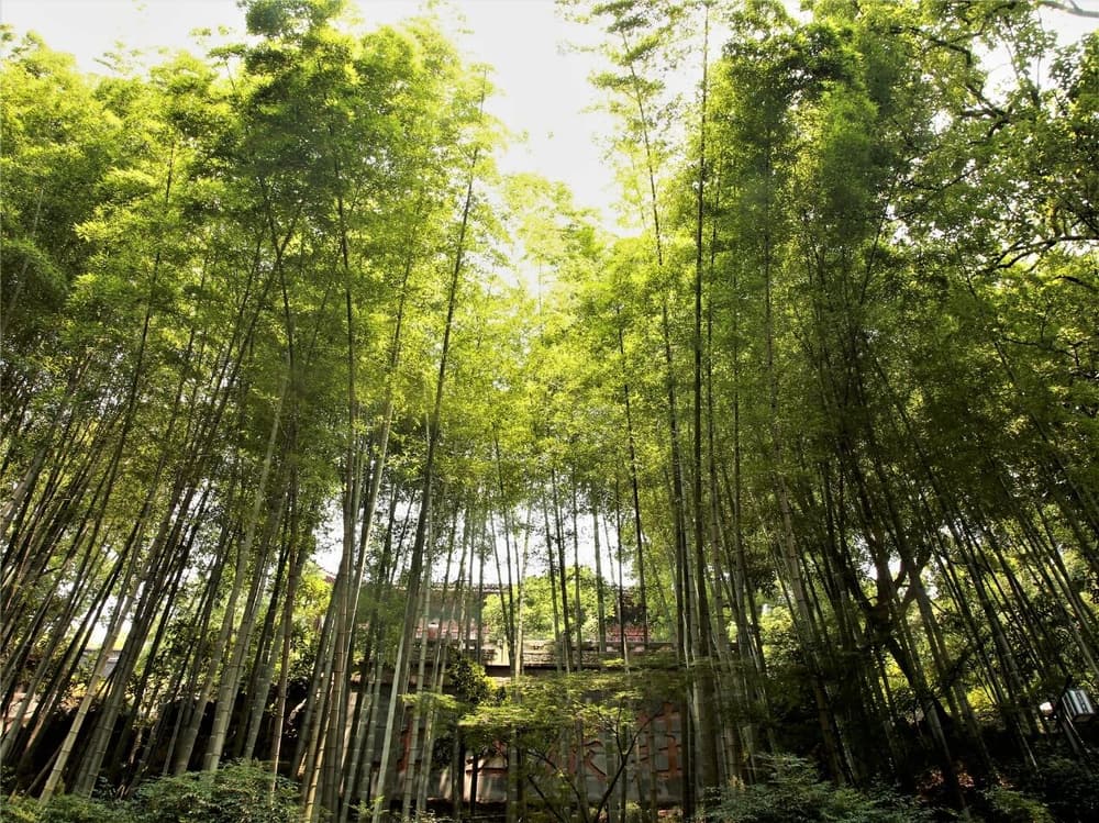 外境是不能主宰的