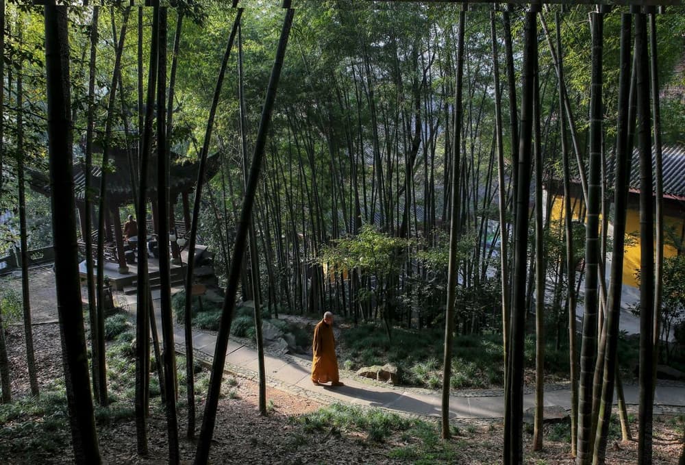 當捨己眾他眾，空閑獨處