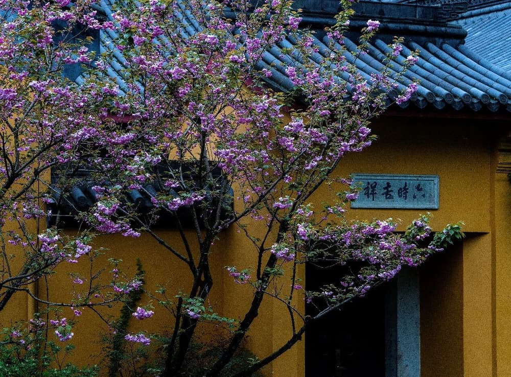 所謂「法空」，是什麼道理呢