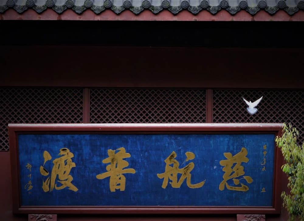 沒有三惡道的因緣果報，是淨土的最初指標