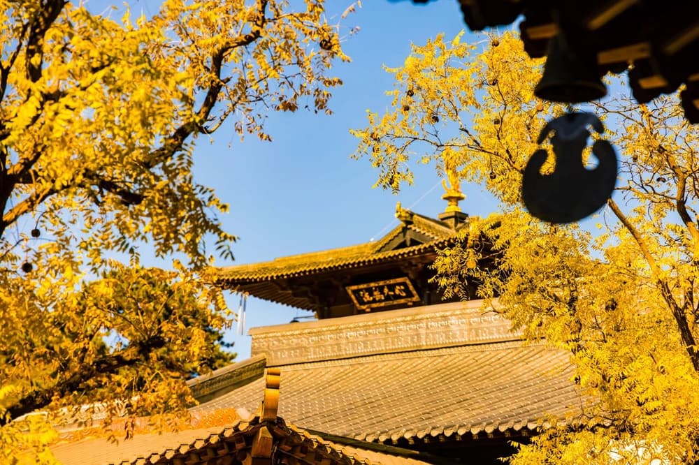 弘揚佛法可貴的就是如理如法而說