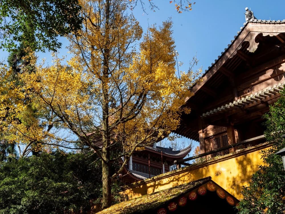 比丘摩訶羅與優婆夷