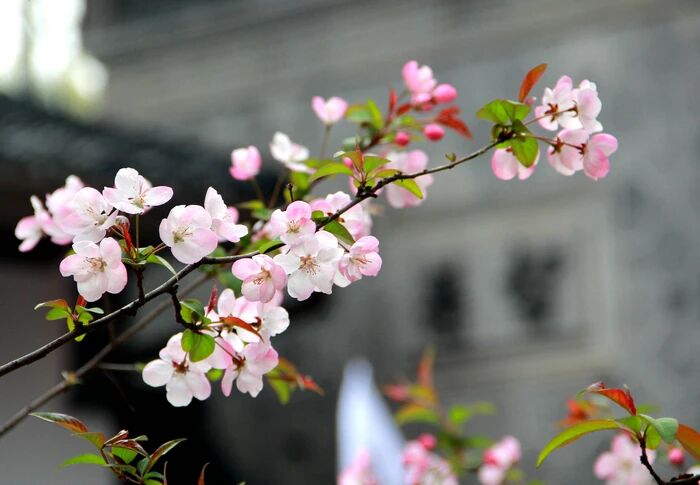 用歡喜心來布施，以後得福德時會非常順利