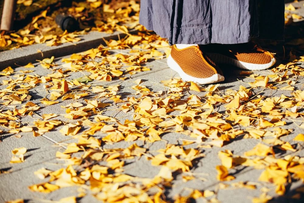 柔性的管理方式