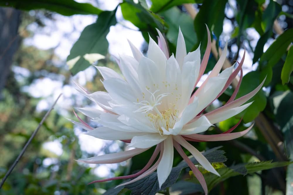 無條件的慈悲，成就助念的力量