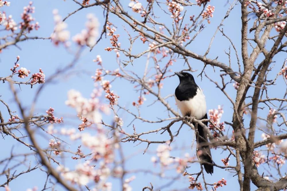 遺錢不贓，知止的智慧