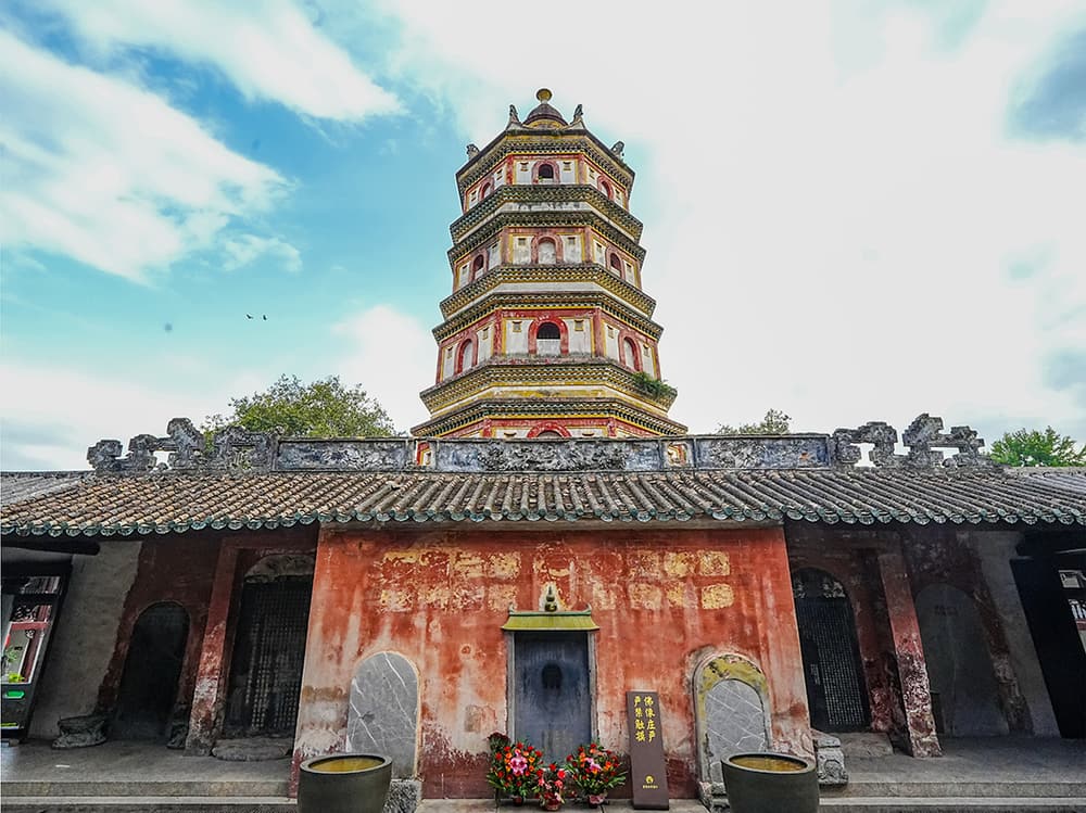 真如就在妄想當中