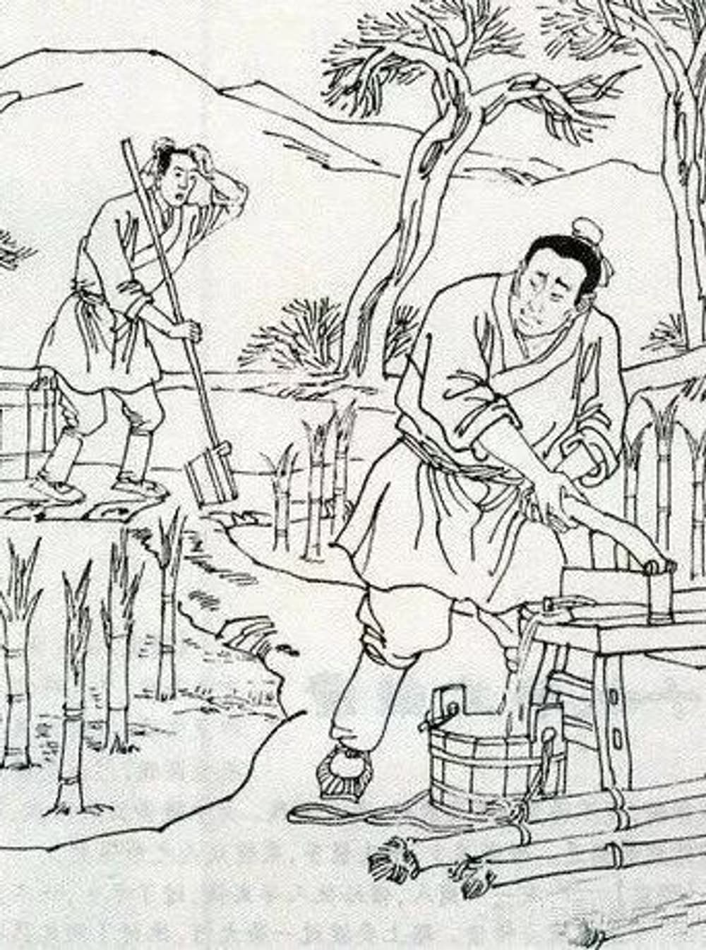 【百喻經】灌甘蔗喻