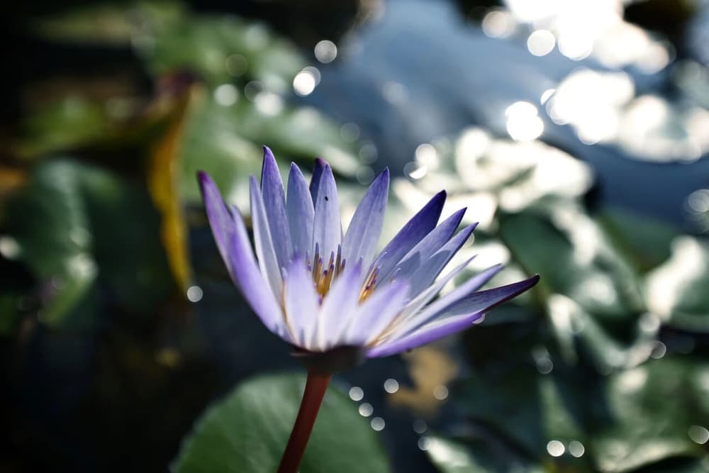 此種境界，不及地獄萬分之一