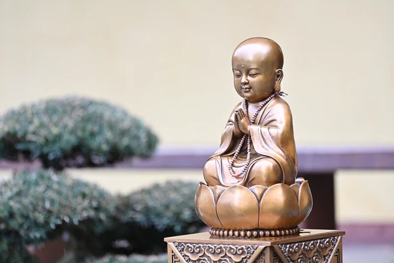 如何理解極樂世界的「二乘種不生」