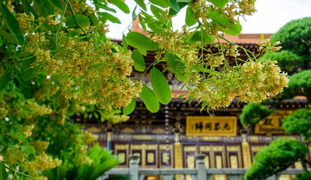 所有的物質，都要靠心法來執受