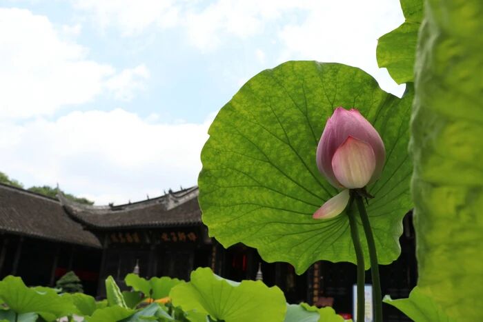 殺生不可不戒也