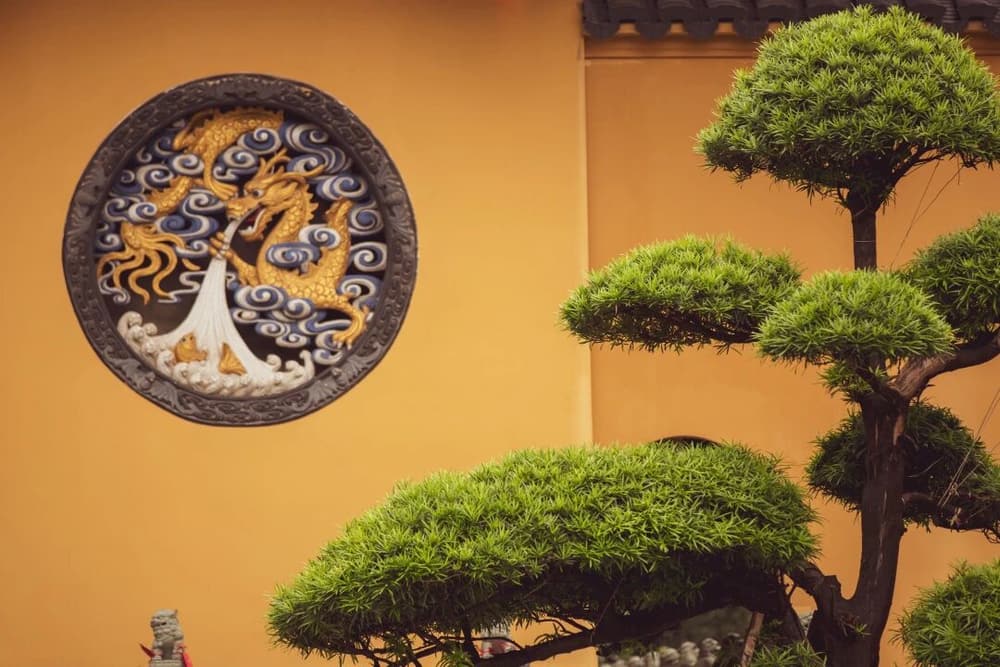 遠離這十種不良的情緒