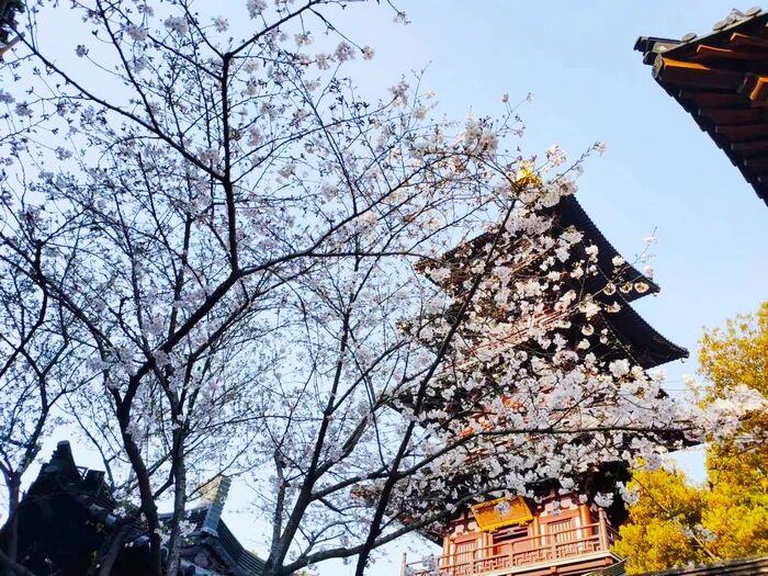 喪子復得的故事