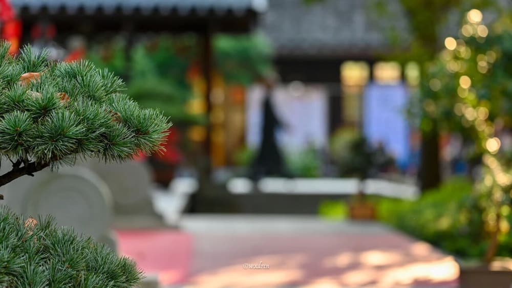 瞋心的原因、危害，與化解方法