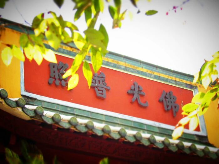 「佛法僧」為何稱為三寶