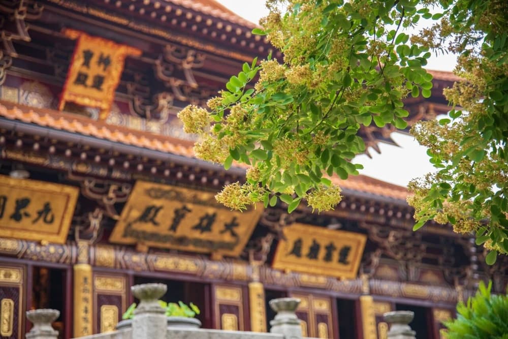 治病非常重要的因素