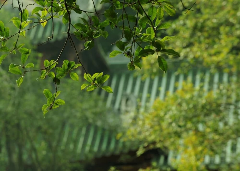 蓮池大師《竹窗隨筆》白話註譯