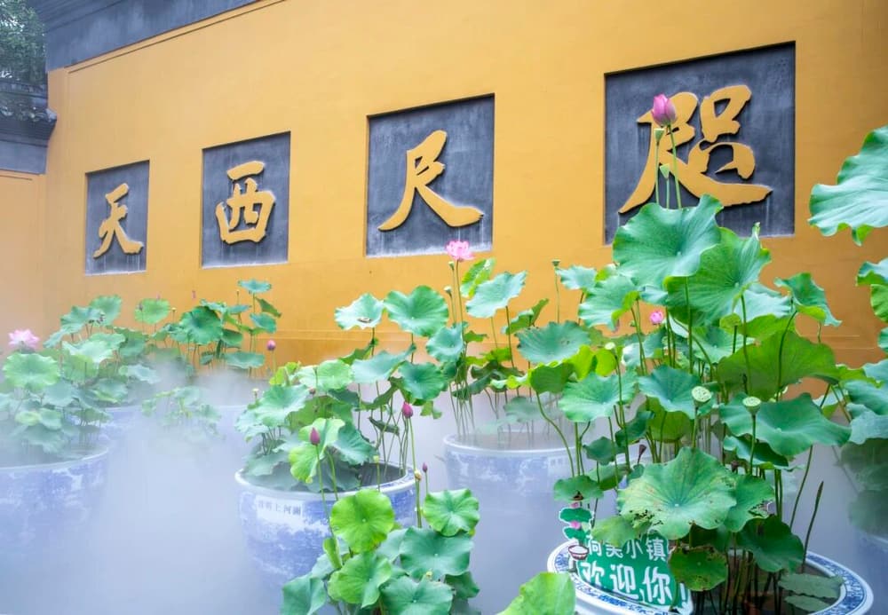 為何說極樂世界才是清淨世界