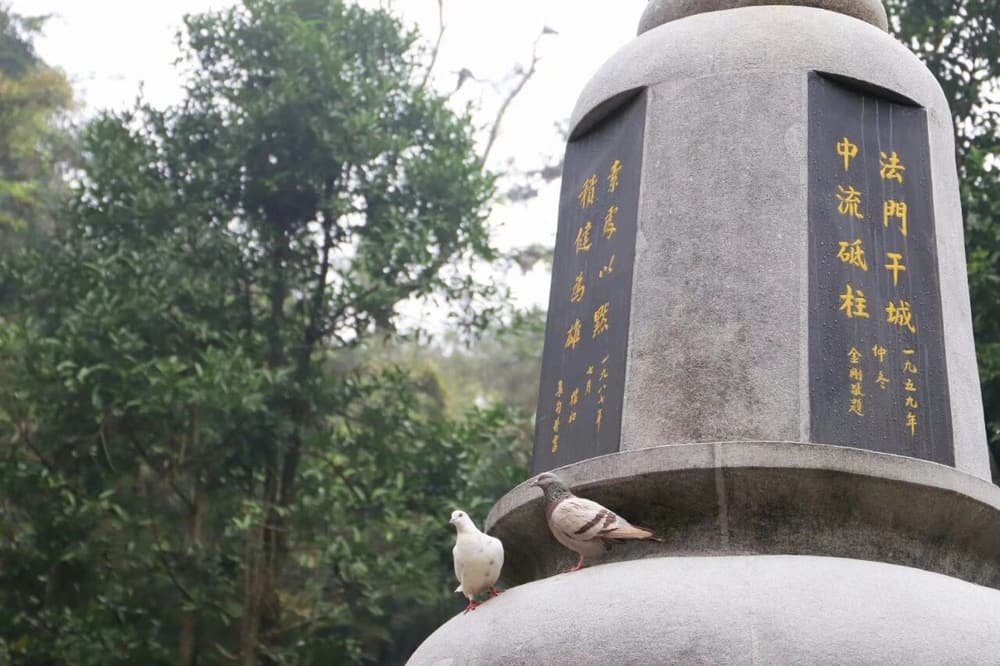 今欲舊業消除，先要發起大智慧光