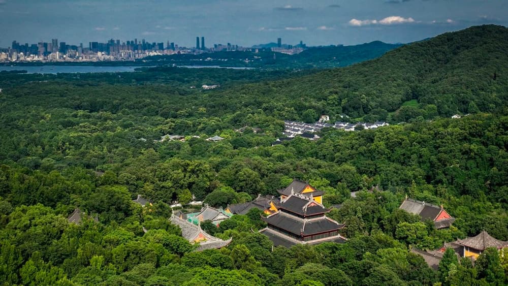 念釋迦佛跟念阿彌陀佛，功德是否一樣