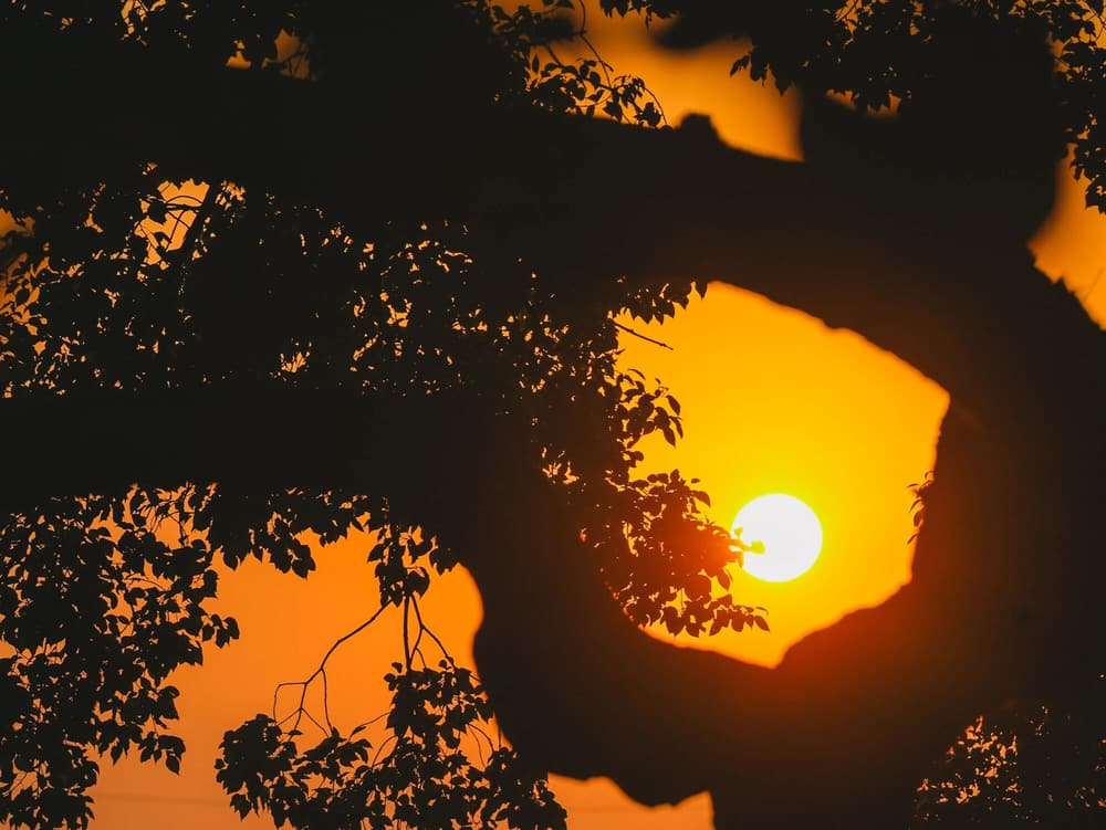 發菩提心的三次第、七重因果