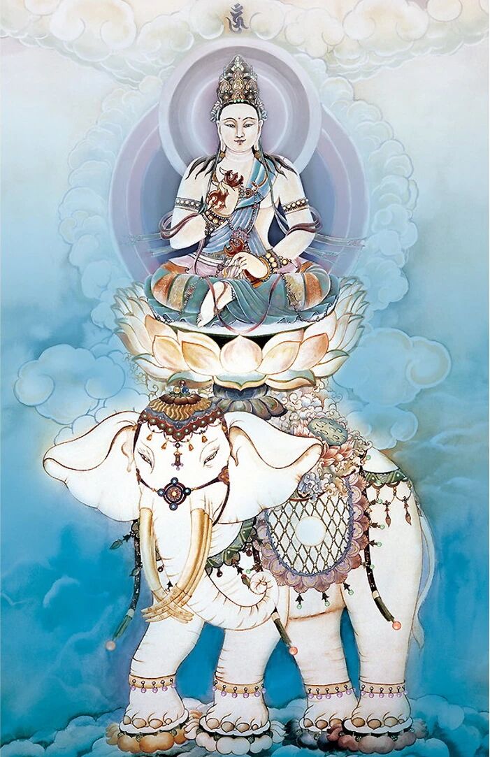 因護持正法，而得無量殊勝的果報