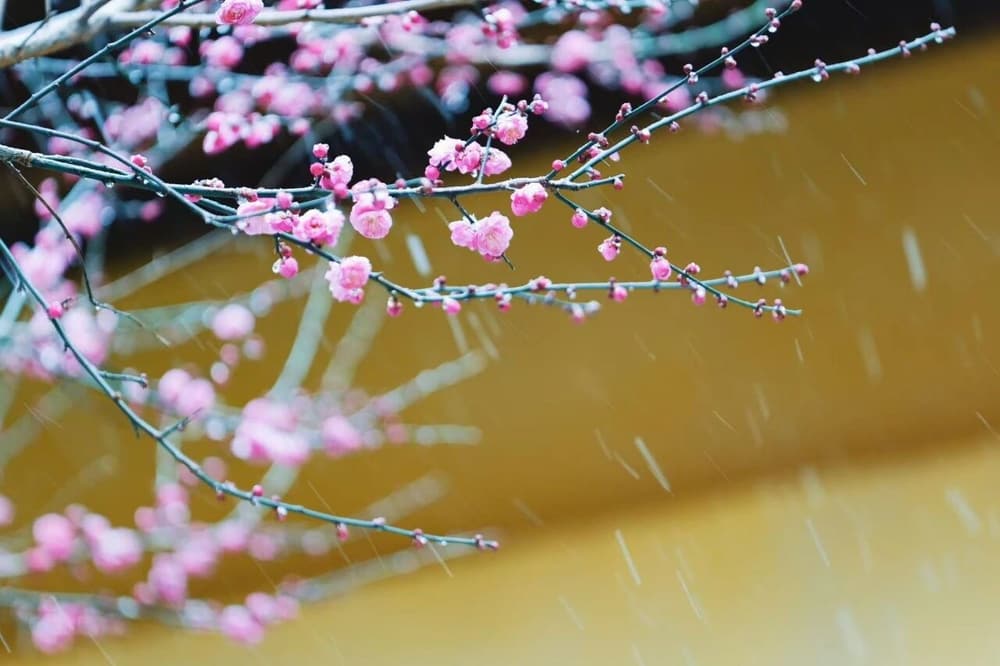 淫慾有三大過患