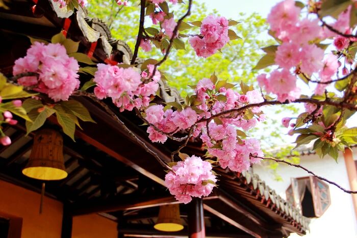 嫉妒心重殃及子孫，認真改過轉禍為福