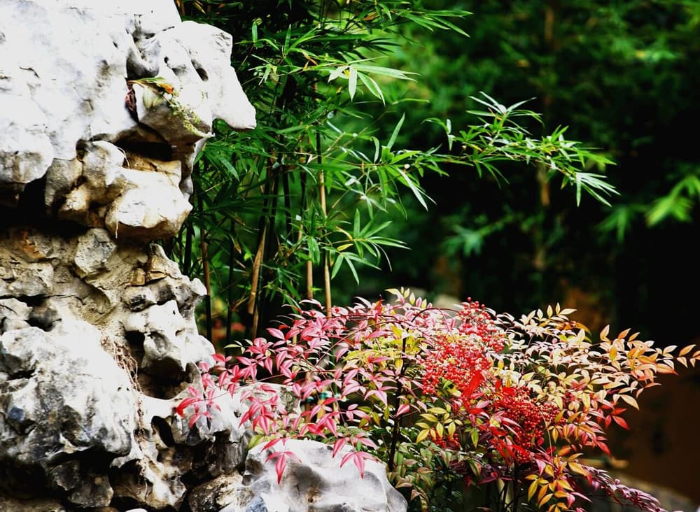 對法的心態有三個——專心、信心、恭敬心