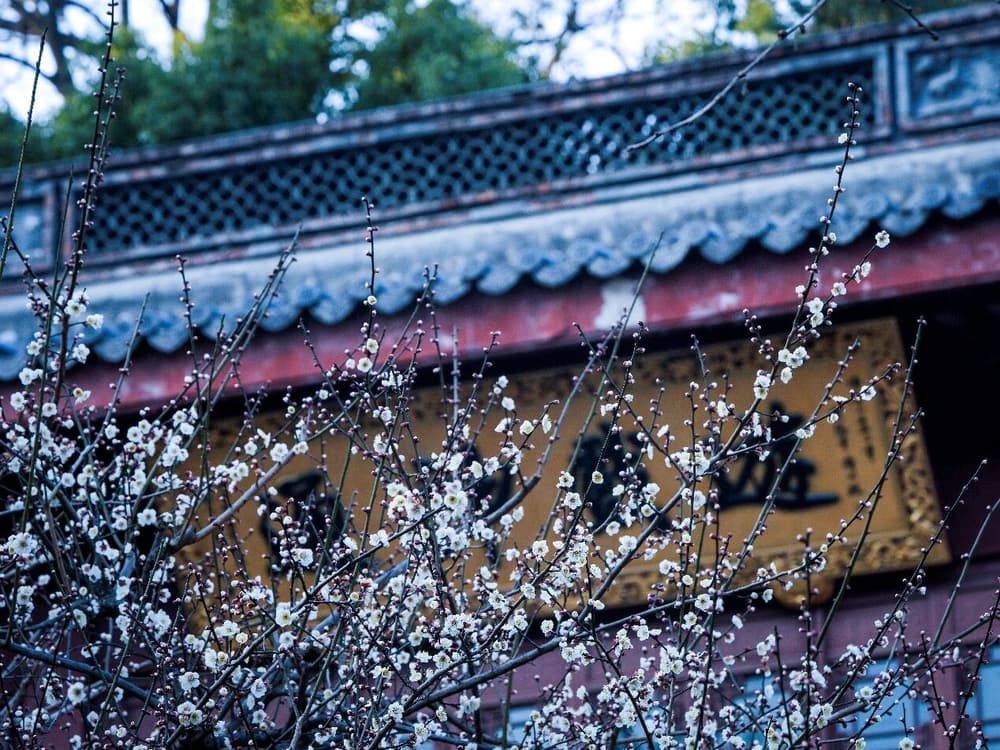 不被境轉，情不附物，無明草就不長了