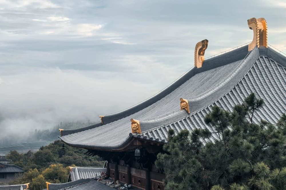 藏識海中無始業種，決定了命運的複雜性