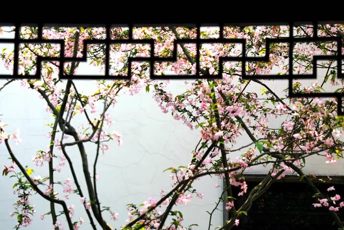 佛滅度後，應將心安住四念處中