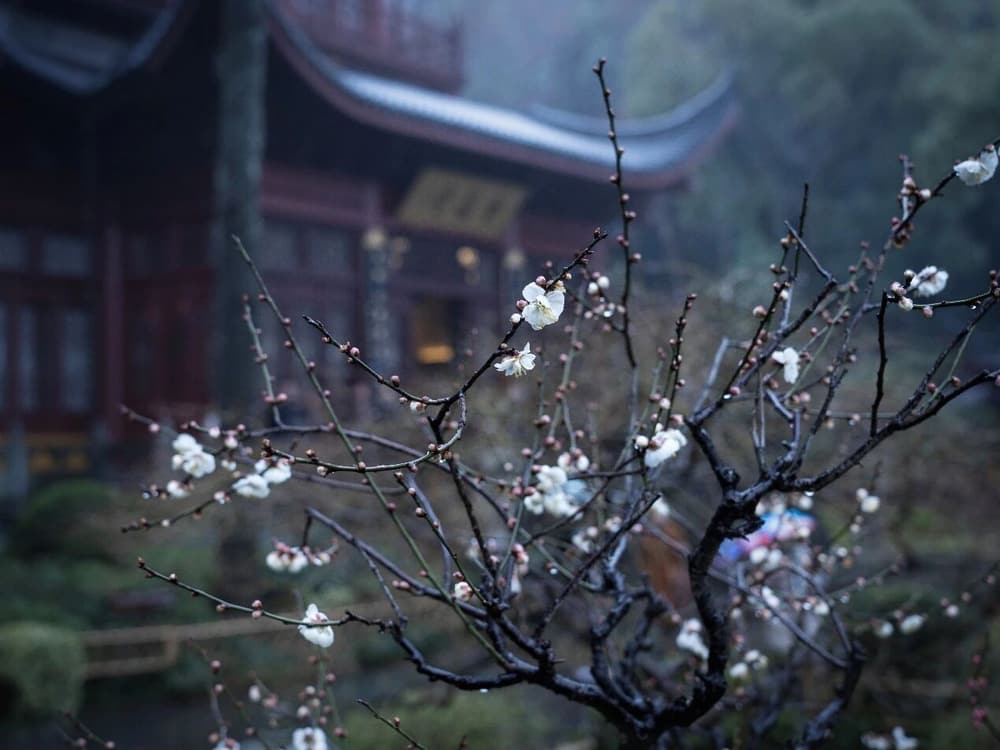 當年恩愛，今做冤家，昔日仇寇，今成骨肉