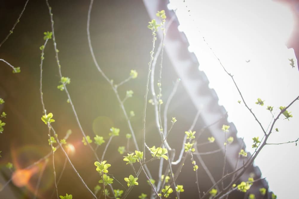 佛法逐漸衰微的三點內因