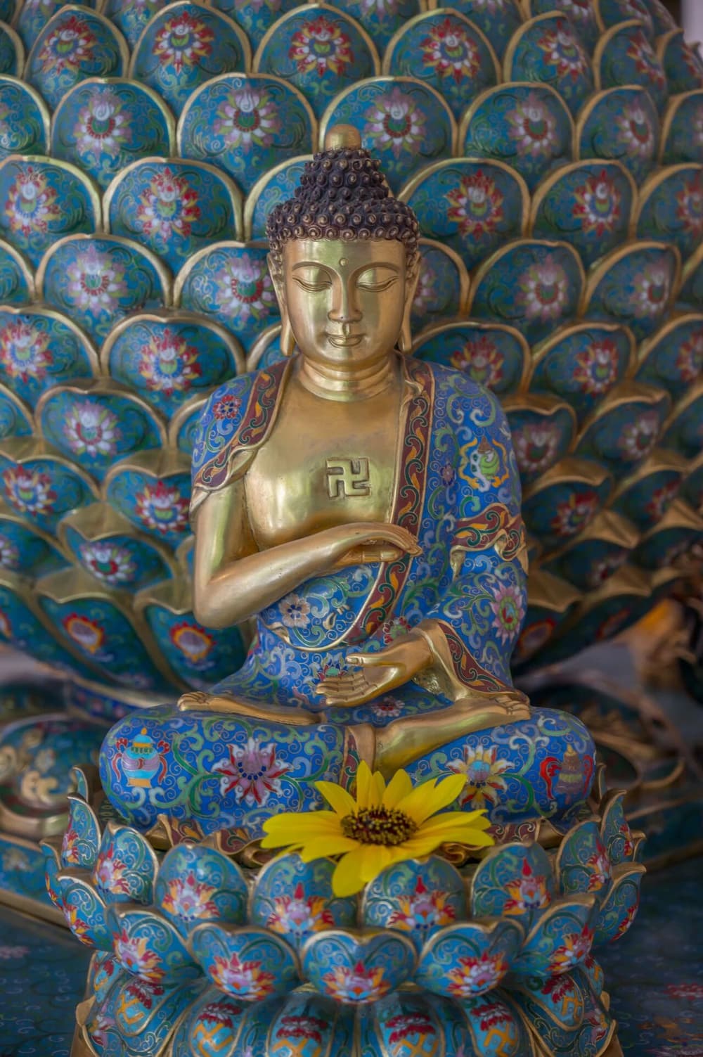 如果不依淨土修道，想在這輩子成就絕對不可能