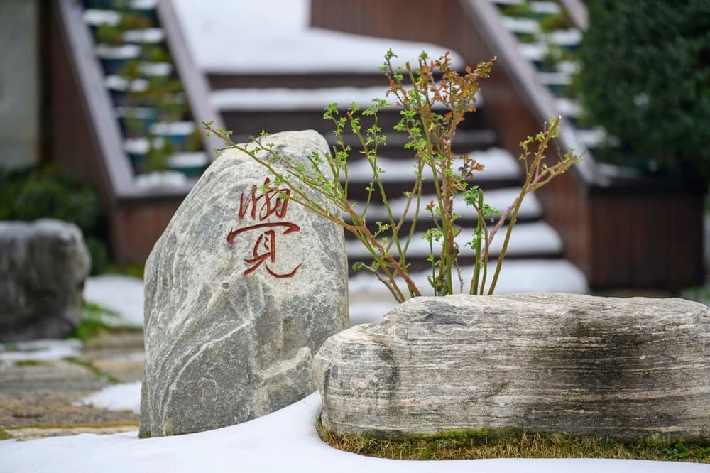 有一種因果是三報不能攝的